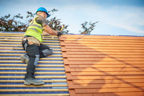 Best Metal Roofing Installation  in San Tan Valley, AZ